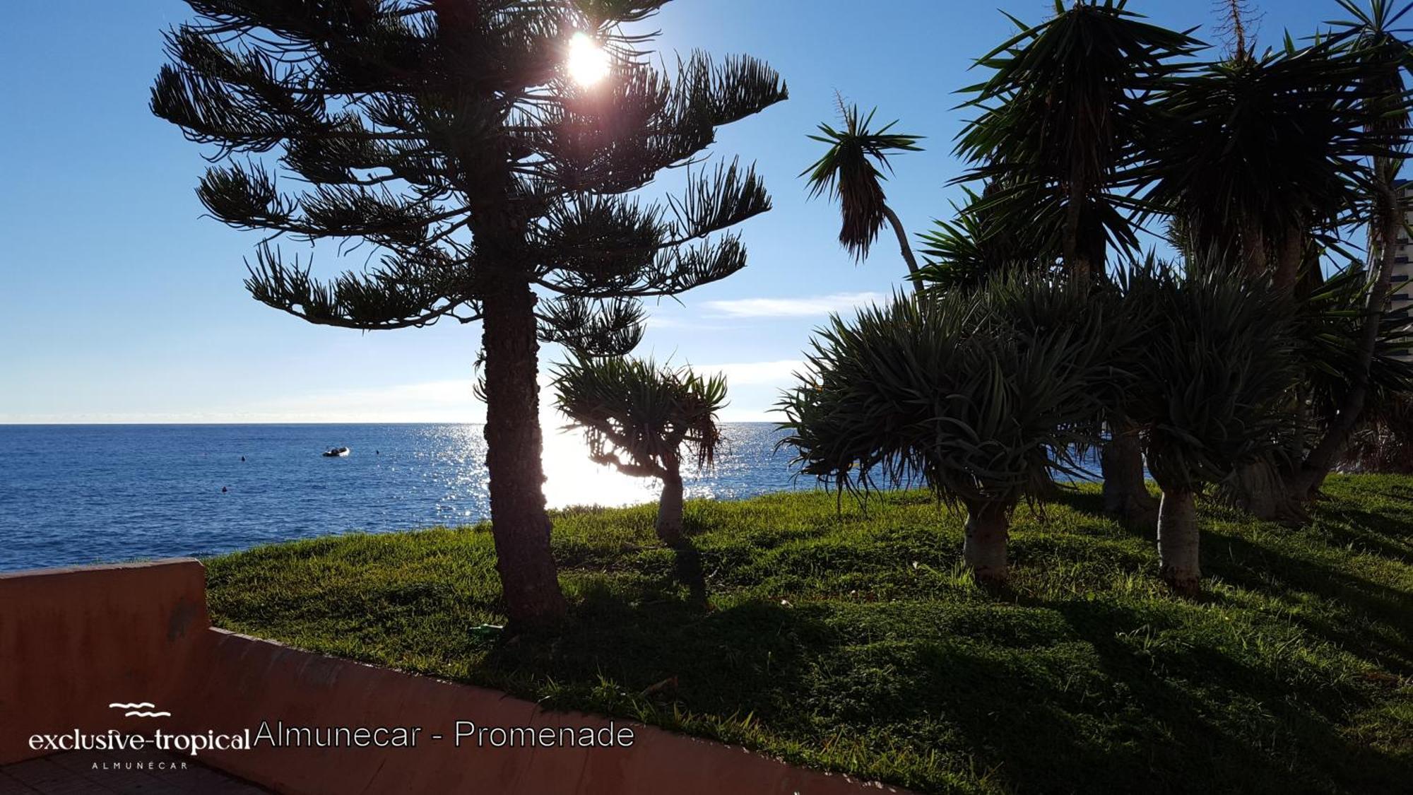 Los Cipreses - Casa Ola Almuñécar Buitenkant foto